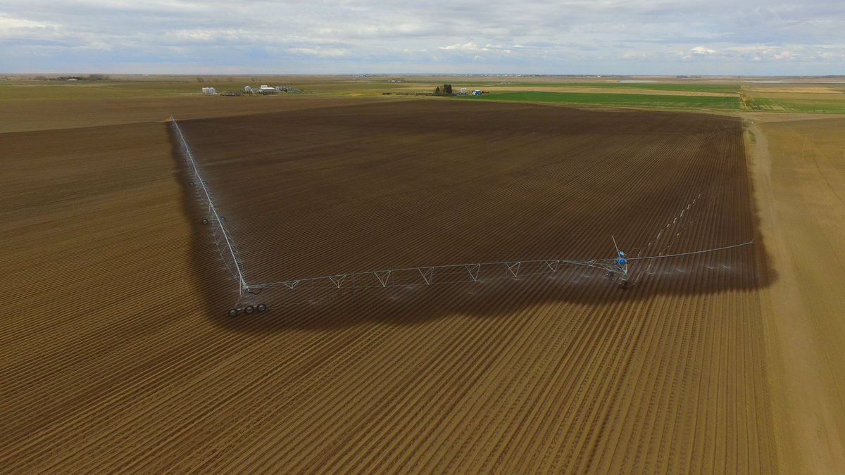 Michel Camps tweet media