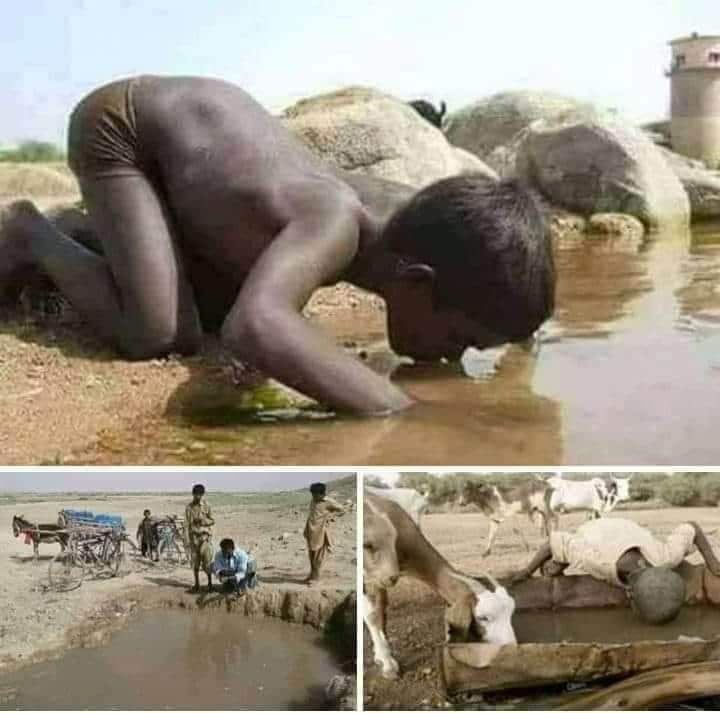 SohrabChandio2's tweet image. پاڻيءَ انسان، پکين، ۽ جانورن جو جياپو آهي، پوءِ سنڌ کي پاڻيءَ کان محروم ڇو ٿو رکيو وڃي، ڇا اوھان وقت جي خدائن کي سنڌ ۾ انسان، پکي، ۽ جانور رهندي نظر نٿا اچن ڇا؟ 
جو سنڌوءَ کي پاڻيءَ کان مسلسل محروم رکڻ جي ڪوشش ڪري رهيا آهيو...!
#SindhNeedsWater