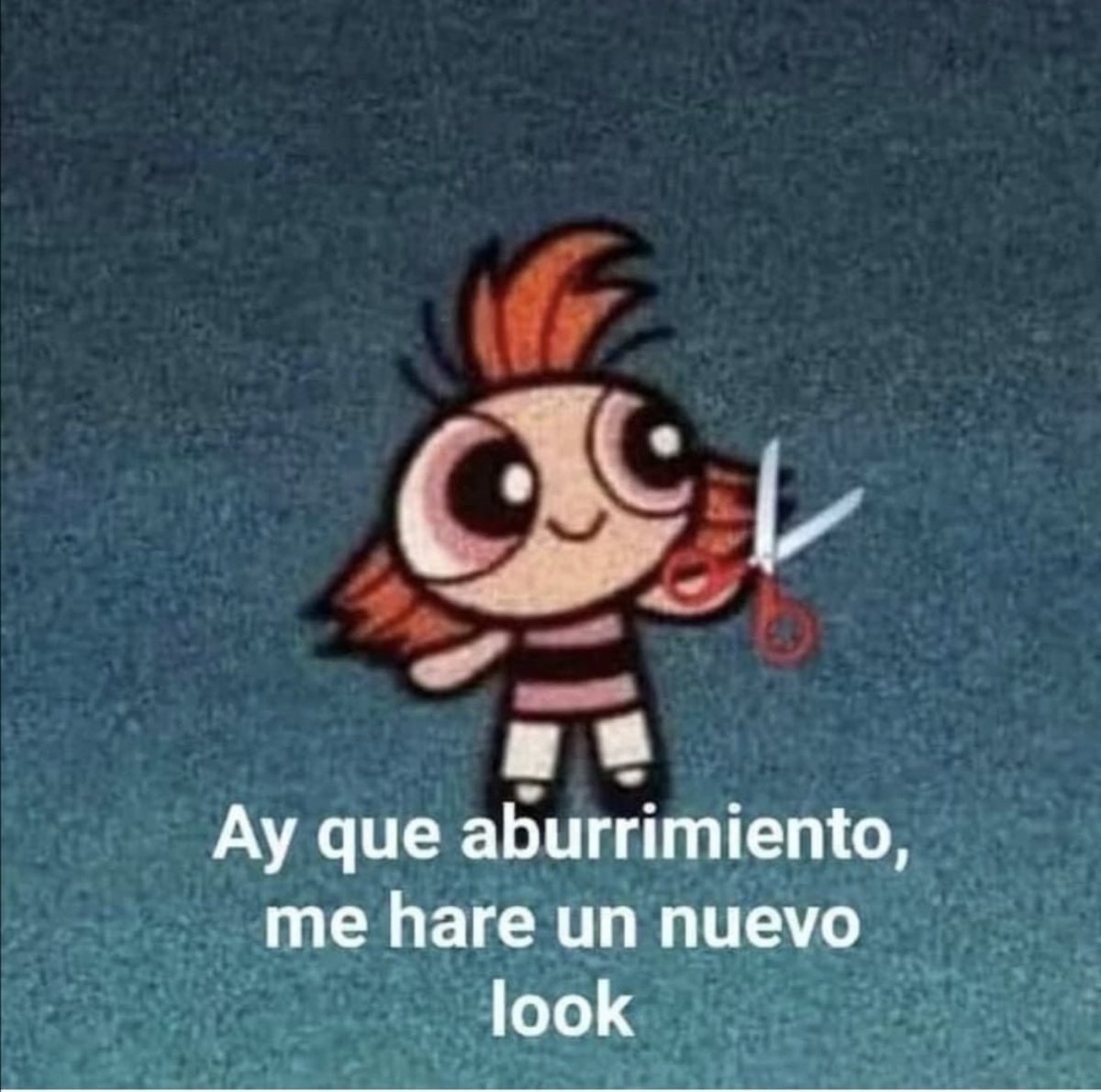 El Guarromántico (@guarromantico_) on Twitter photo 