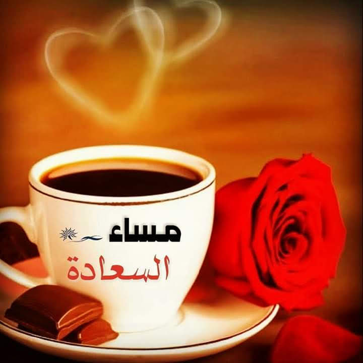 علي tweet media