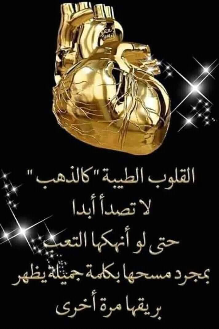 علي tweet media