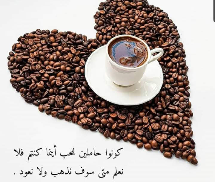 علي tweet media