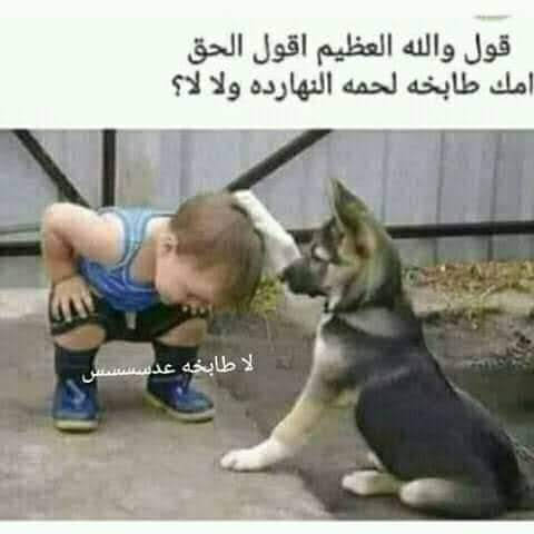 علي tweet media