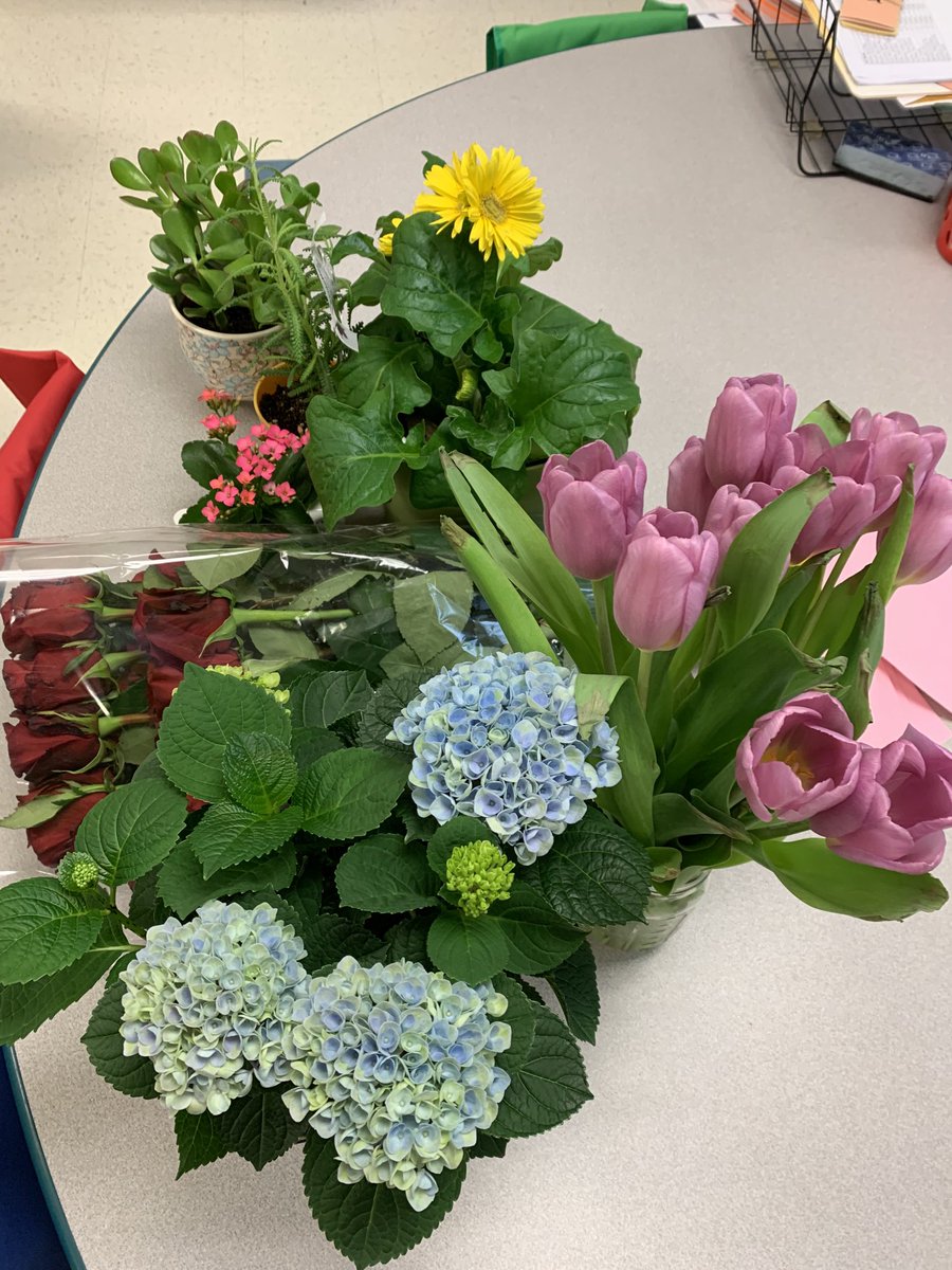 MrsKCage's tweet photo. I’m nearly ready to open a flower shop (it was a thought a few years ago) with this huge stack of roses, hydrangea, tulips, etc. from my really awesome Kindergarten students. Thanks for my other gifts as well! It’s so very sweet to be remembered 💗. Love you my penguins! https://t.co/GjhtfXHb2t
