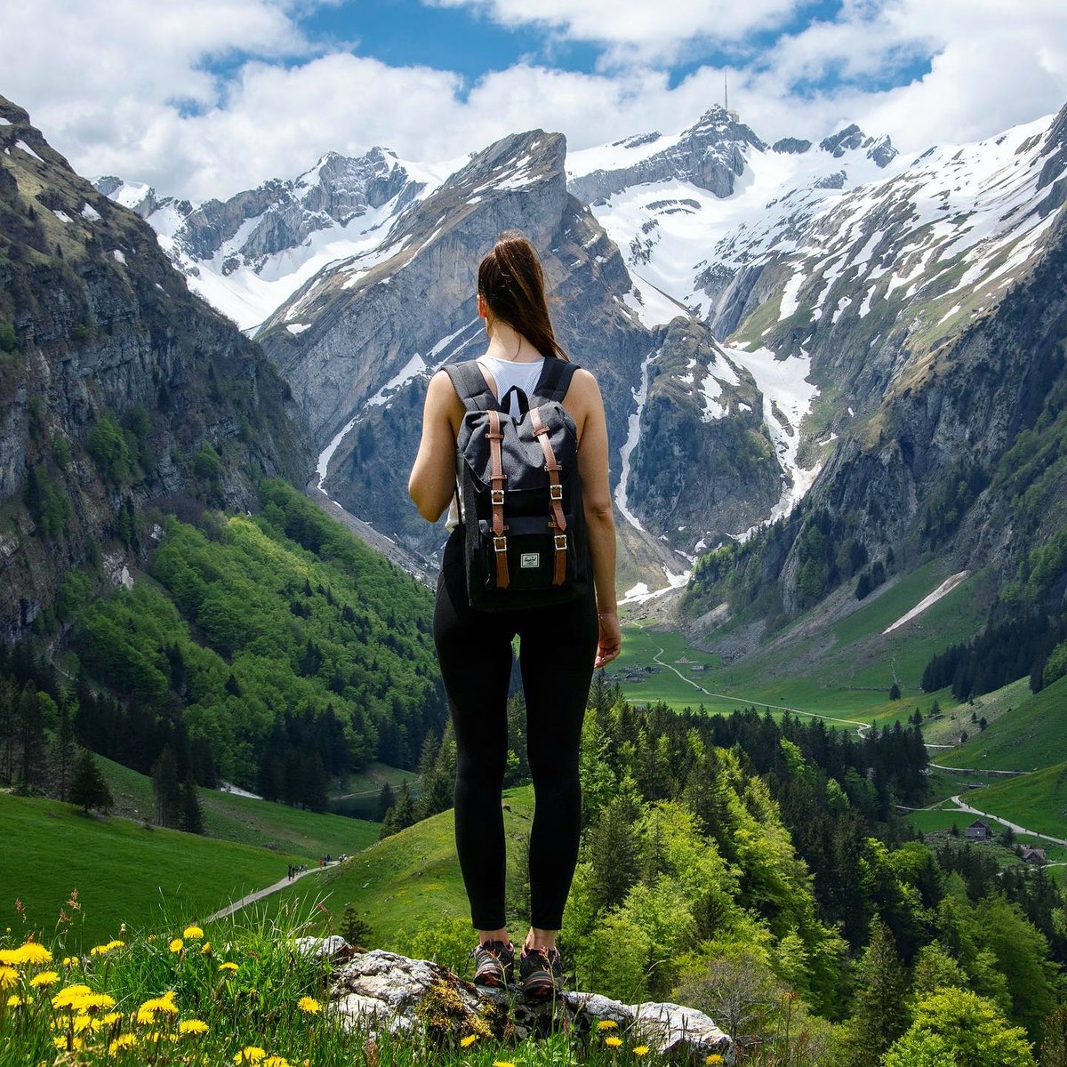 Campingfhiking's tweet photo. #NewProfilePic https://t.co/1uByD3vrBO
