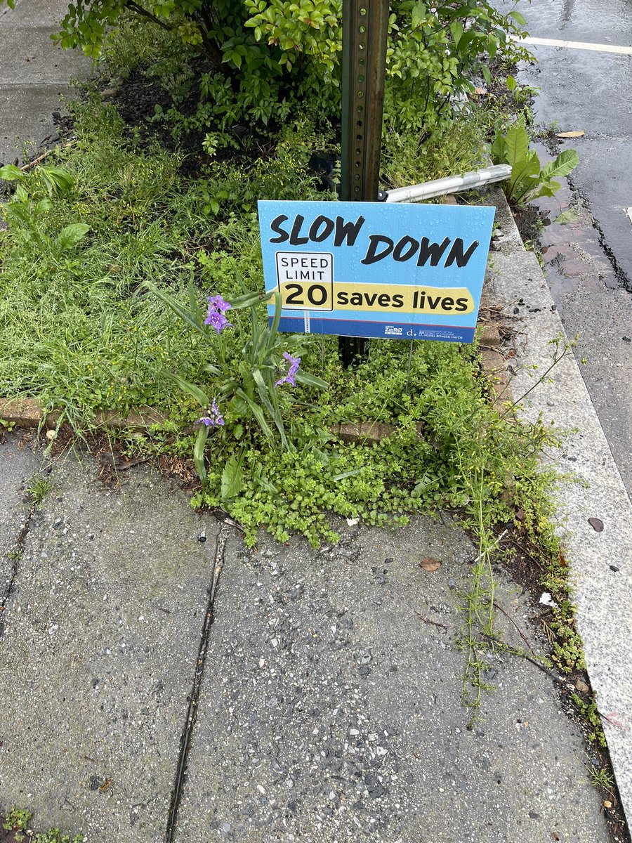 Ahmad_AbuKhalaf's tweet photo. Not a transportation planner/engineer, but a small sign that is barely seen will not slow drivers down and make #DCVisionZero work! #PedestrianSafety #CityPlanning https://t.co/YoCHBTAIQ6