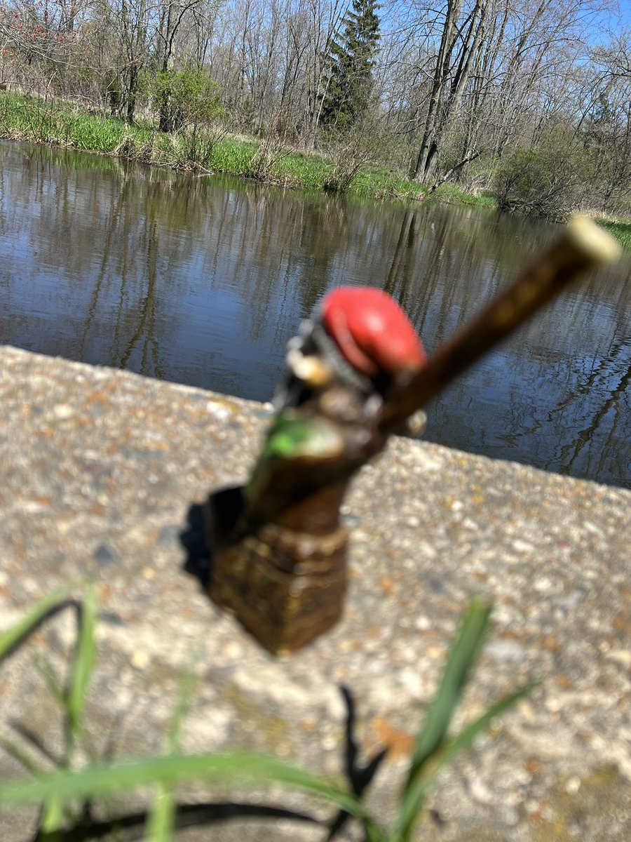BudsnBongs's tweet photo. Where’s the Tokin Gnome today?! https://t.co/9qSb8jvFRp