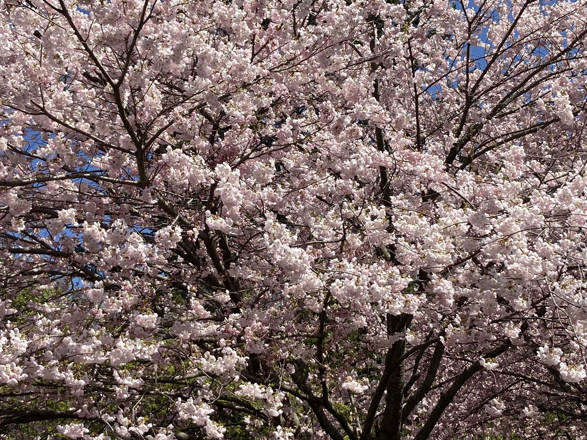 Lena Coakley tweet media