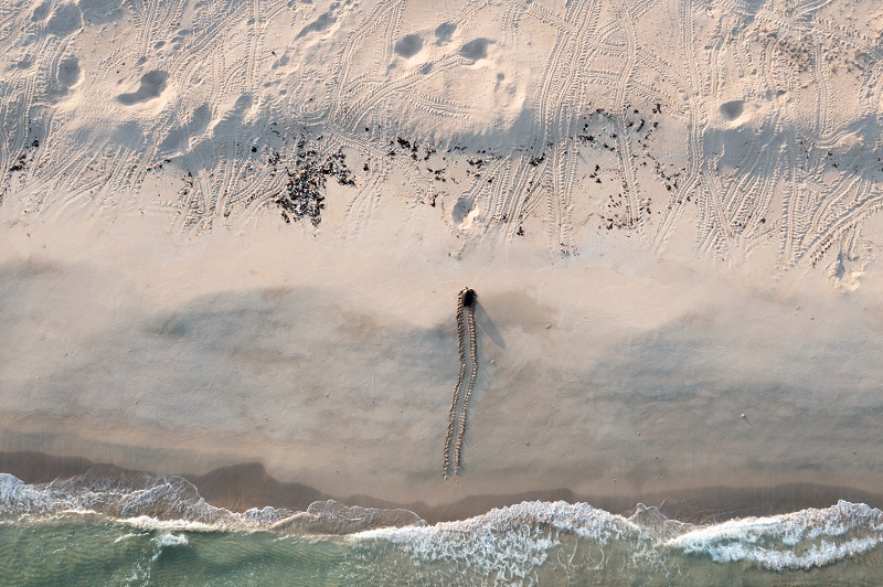 aims_gov_au's tweet photo. We’re shell-ebrating the ‘super mums’ of the ocean; sea #turtles!

@dbarneche was part of an international team that found size does matter when it comes to nesting sea turtles.

https://t.co/pTGRArBIUF

📸 Britten Syd Andrews https://t.co/rlNotgqNur