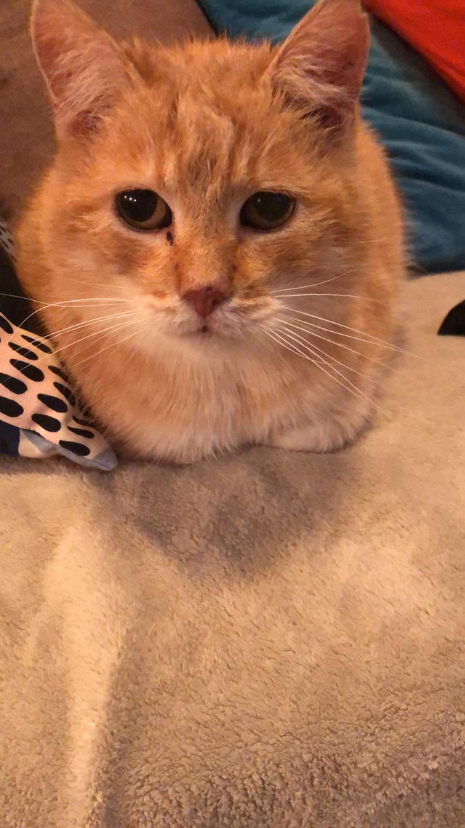 Krzysztof Marcinkiewicz tweet media