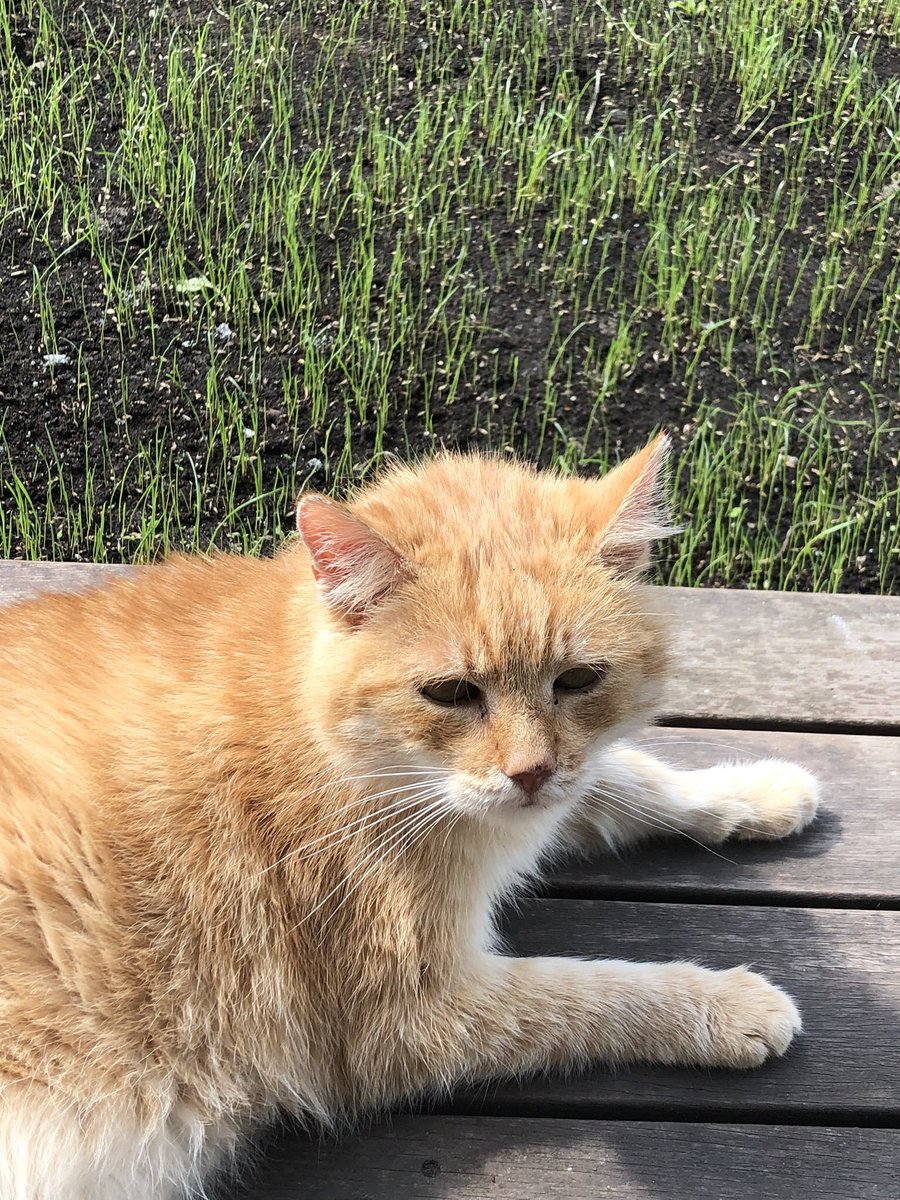 Krzysztof Marcinkiewicz tweet media