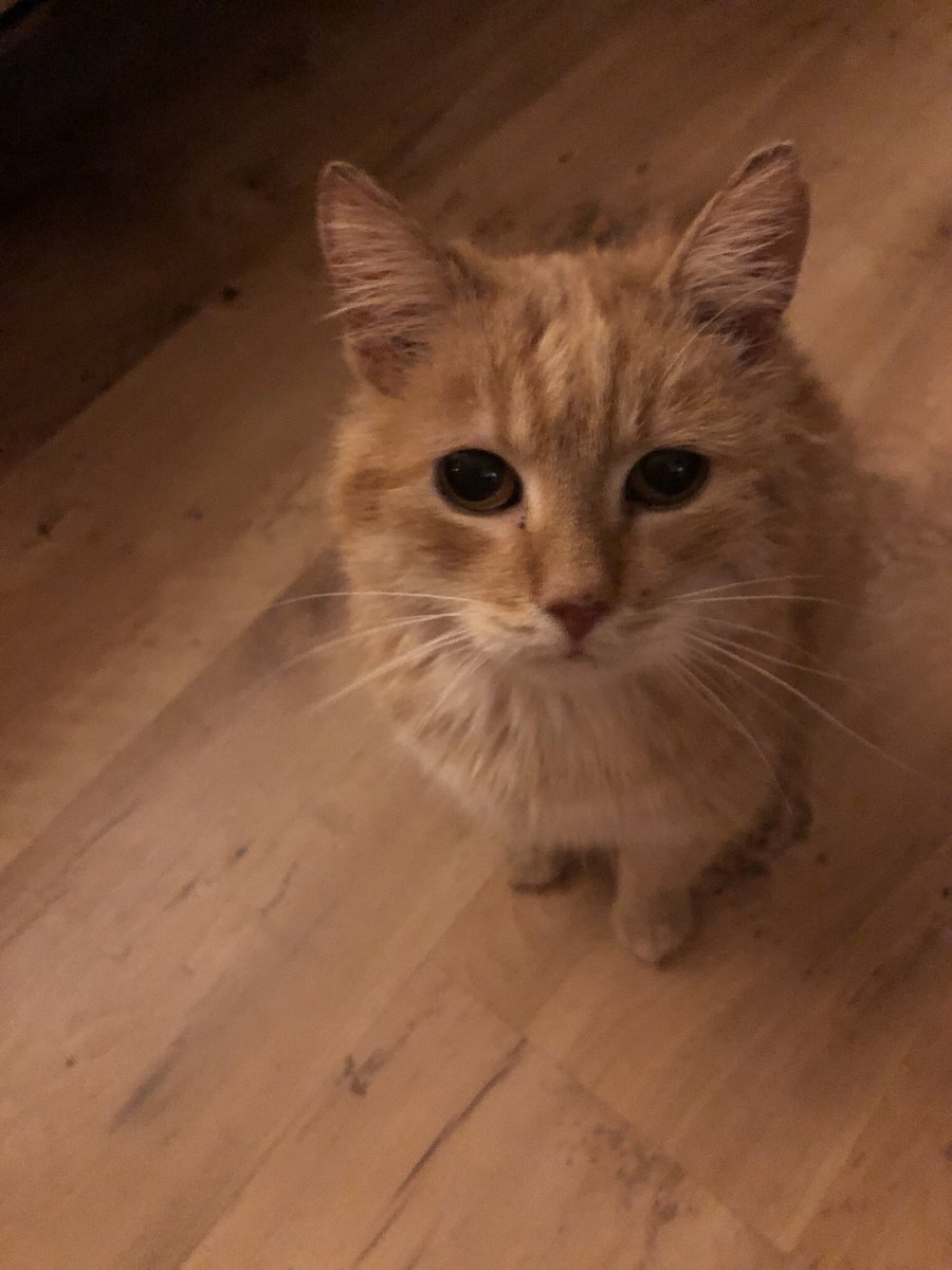 Krzysztof Marcinkiewicz tweet media