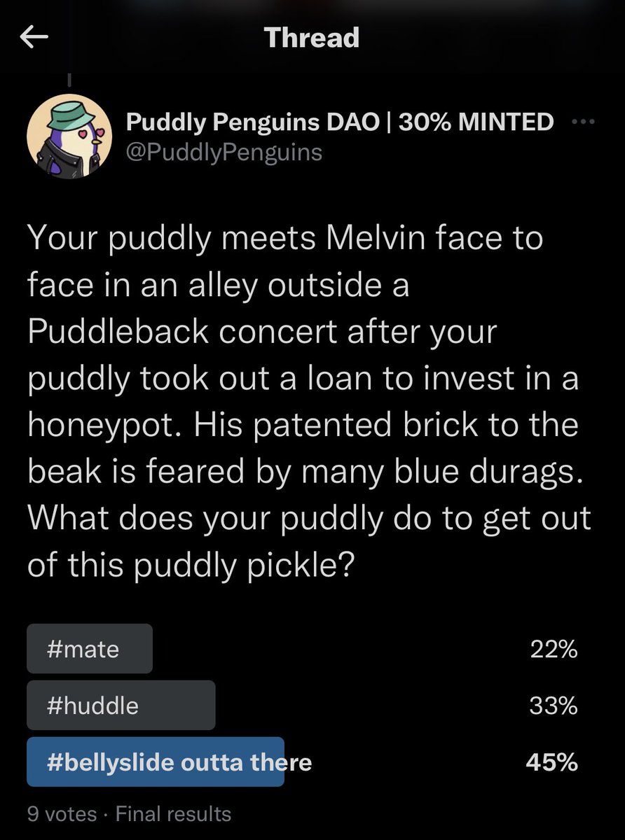 PuddlyPenguins's tweet photo. Looks like puddlys know Melvin’s rug pull pain and know not to mess with him! 

#bellyslideouttathere https://t.co/G1gJfAsfDY
