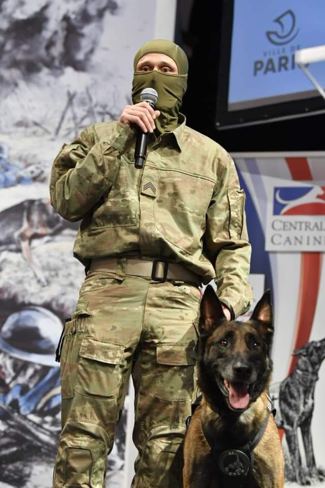 SpecsOpsCenter's tweet photo. 🔷 MISE A L'HONNEUR DE...
Ice!
Ice était un malinois du CPA10 âgé de 8 ans. 
Il a été récompensé du trophée Chien Héros catégorie « chien d'intervention » pour sa conduite exceptionnelle au Mali.
Ice était spécialisé dans l'intervention. https://t.co/ZTBkYyi0oP