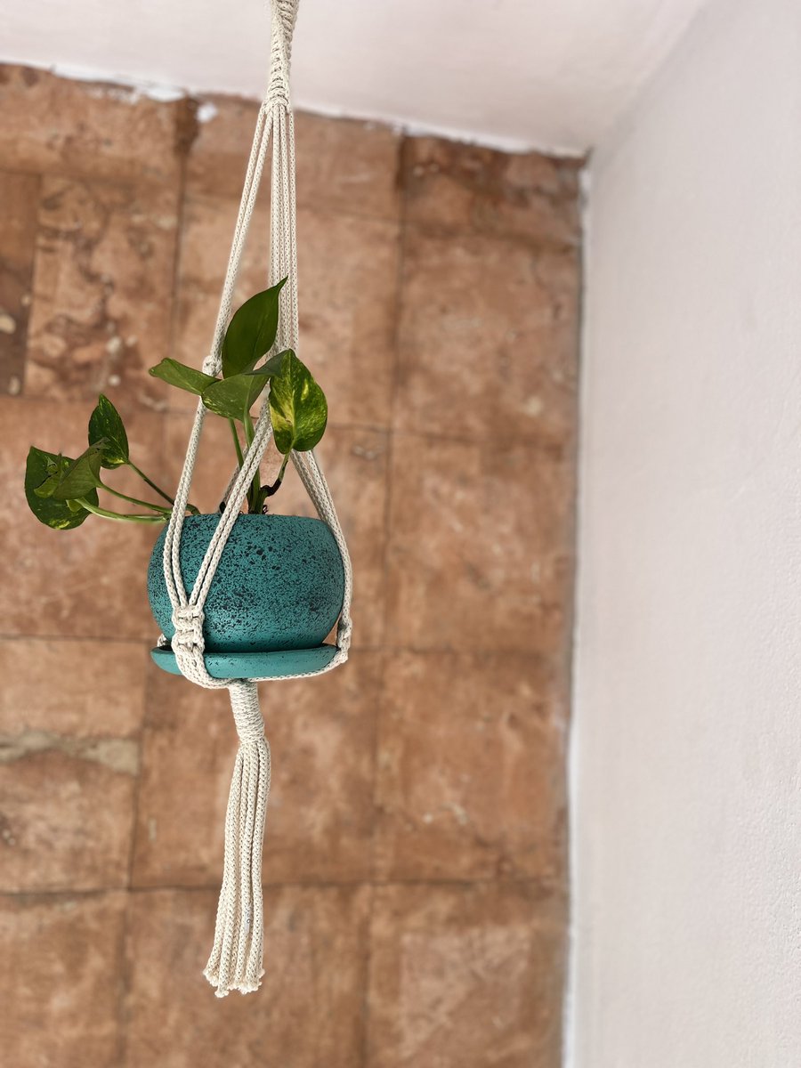 Don_Maceto's tweet photo. Nos encantan los detalles verdes! https://t.co/C5WYFsFy33