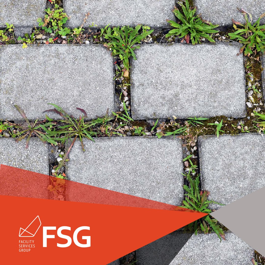 Warm weather may increase weed growing around the outside of your facilities☀️
No one likes #weeding, but necessary for businesses looking to keep their gardens and pathways looking tidy🌱
Hire #professionals to take care of it all for you, visit our website for more info