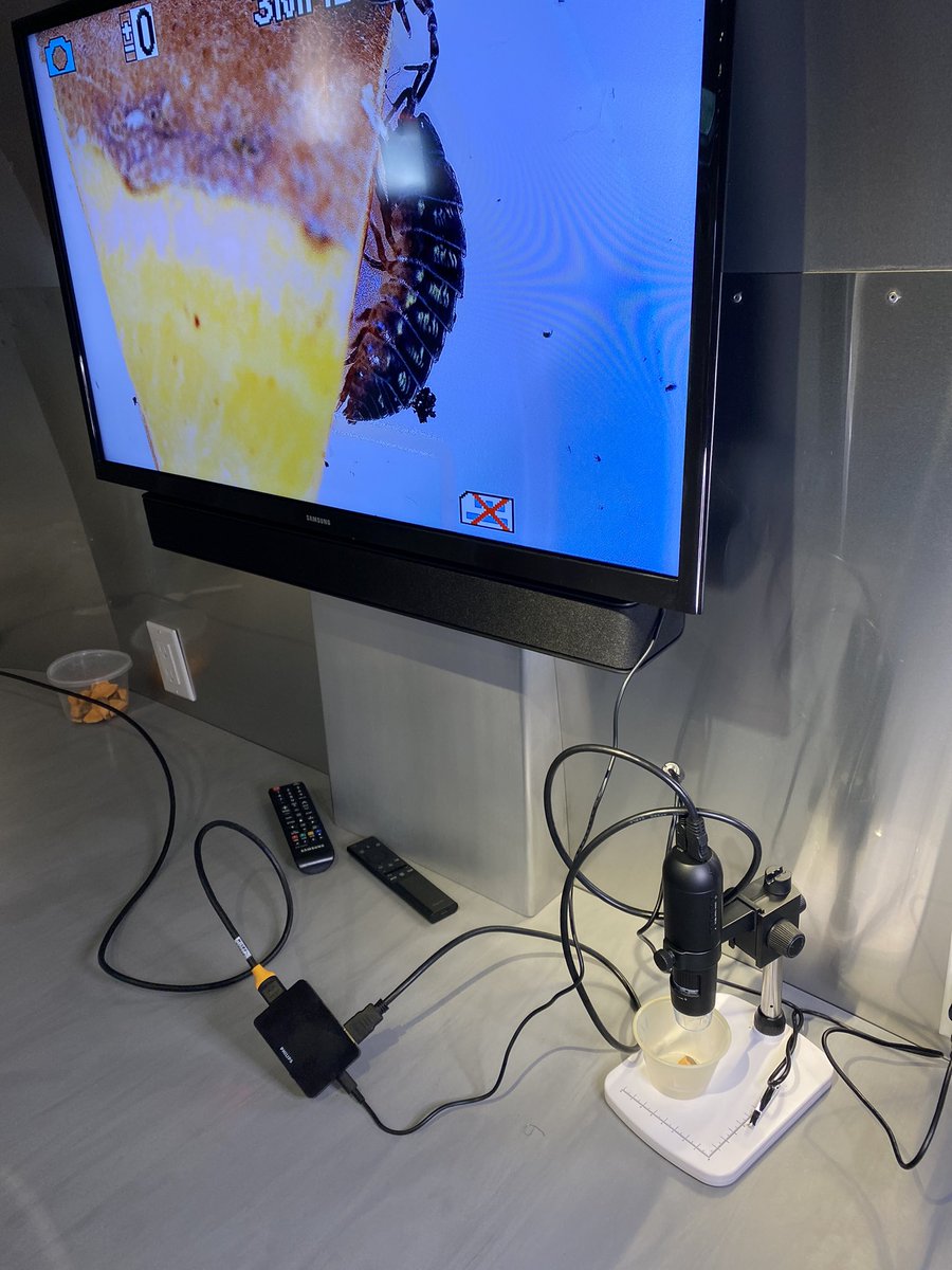 medflygenes's tweet photo. Lots happening within the @OSUEntomology #Bugmobile at @COSI #cosiscifest https://t.co/jX6Z3sPCqZ