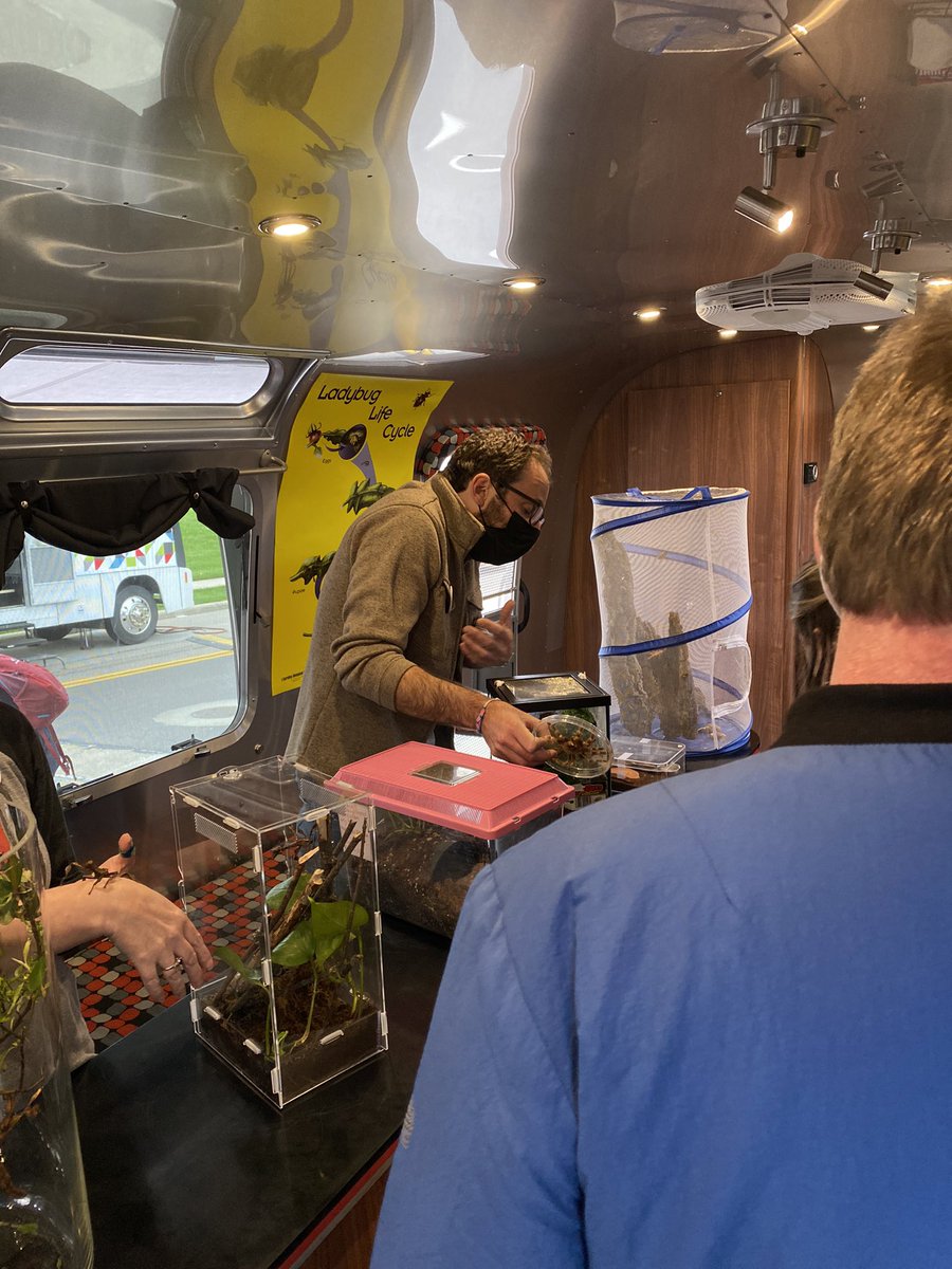 medflygenes's tweet photo. Lots happening within the @OSUEntomology #Bugmobile at @COSI #cosiscifest https://t.co/jX6Z3sPCqZ