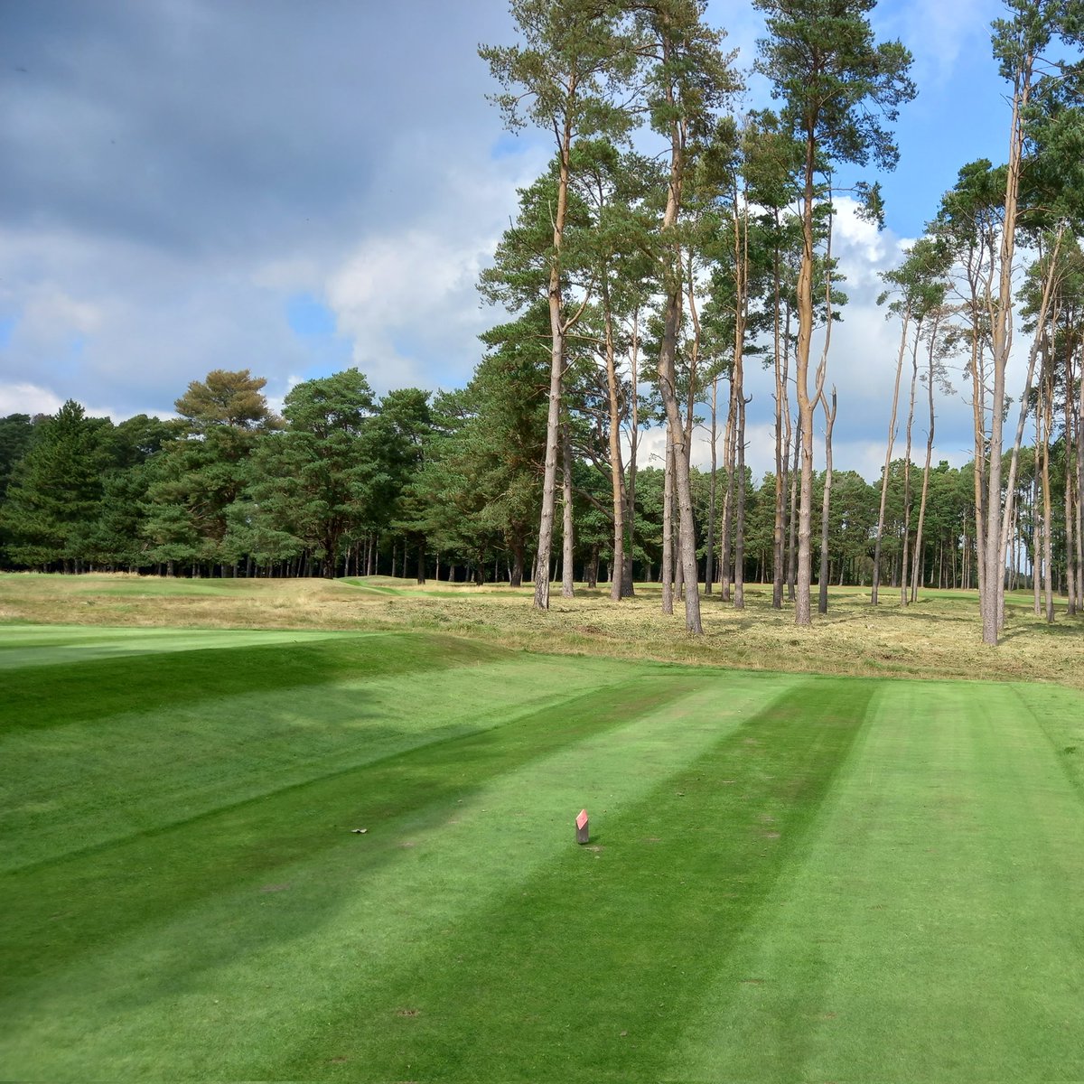 Douglas Spencer tweet media