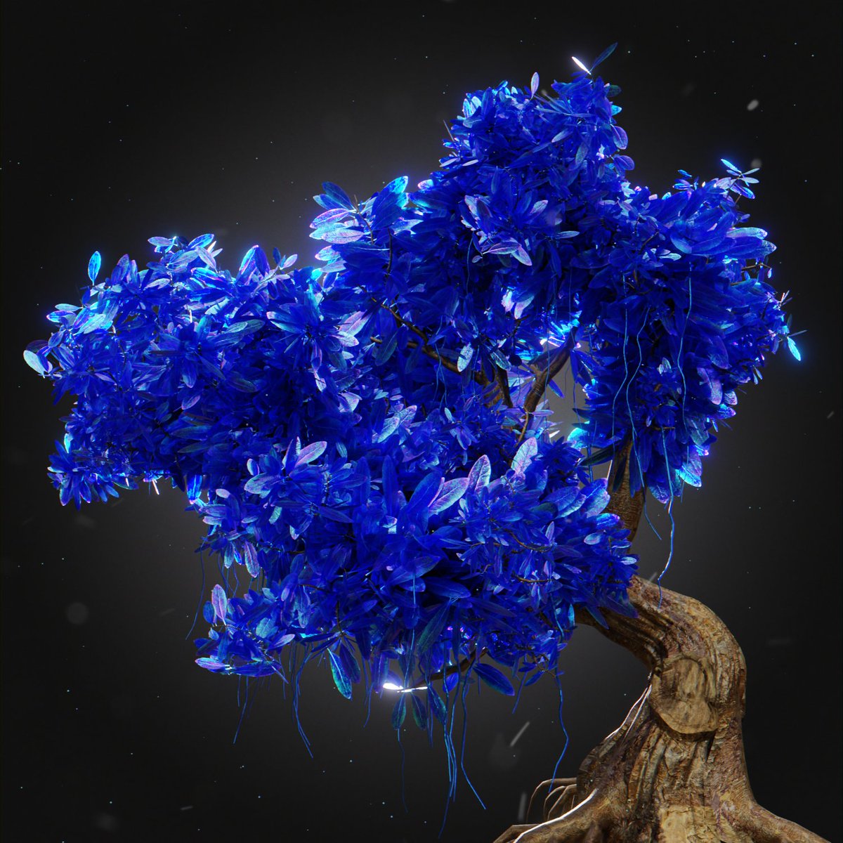 Are you ready? 🌳 

very soon...

#NFTAirdrops #mongomongo