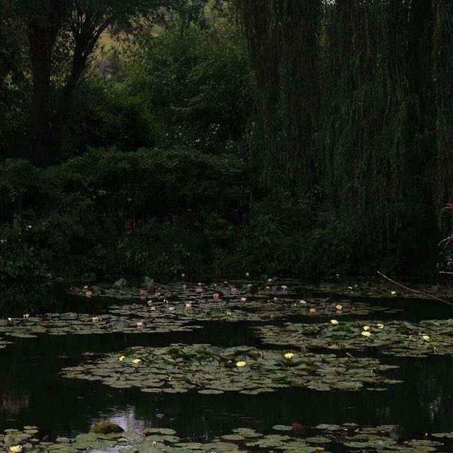 kgepins's tweet photo. can’t get enough of dark cottagecore https://t.co/Wa34nFyOnT