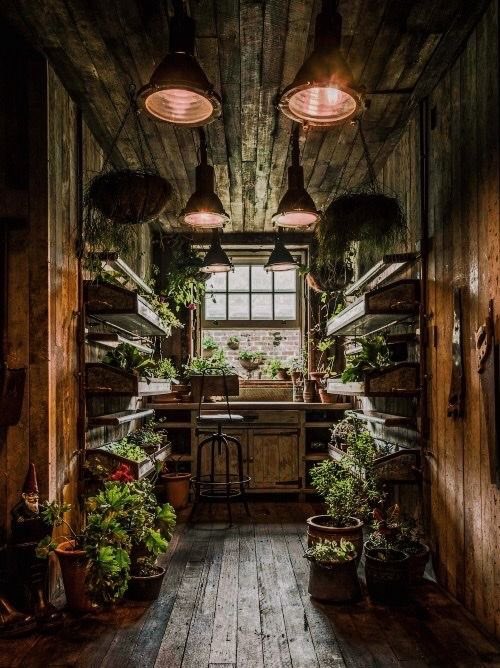 kgepins's tweet photo. can’t get enough of dark cottagecore https://t.co/Wa34nFyOnT