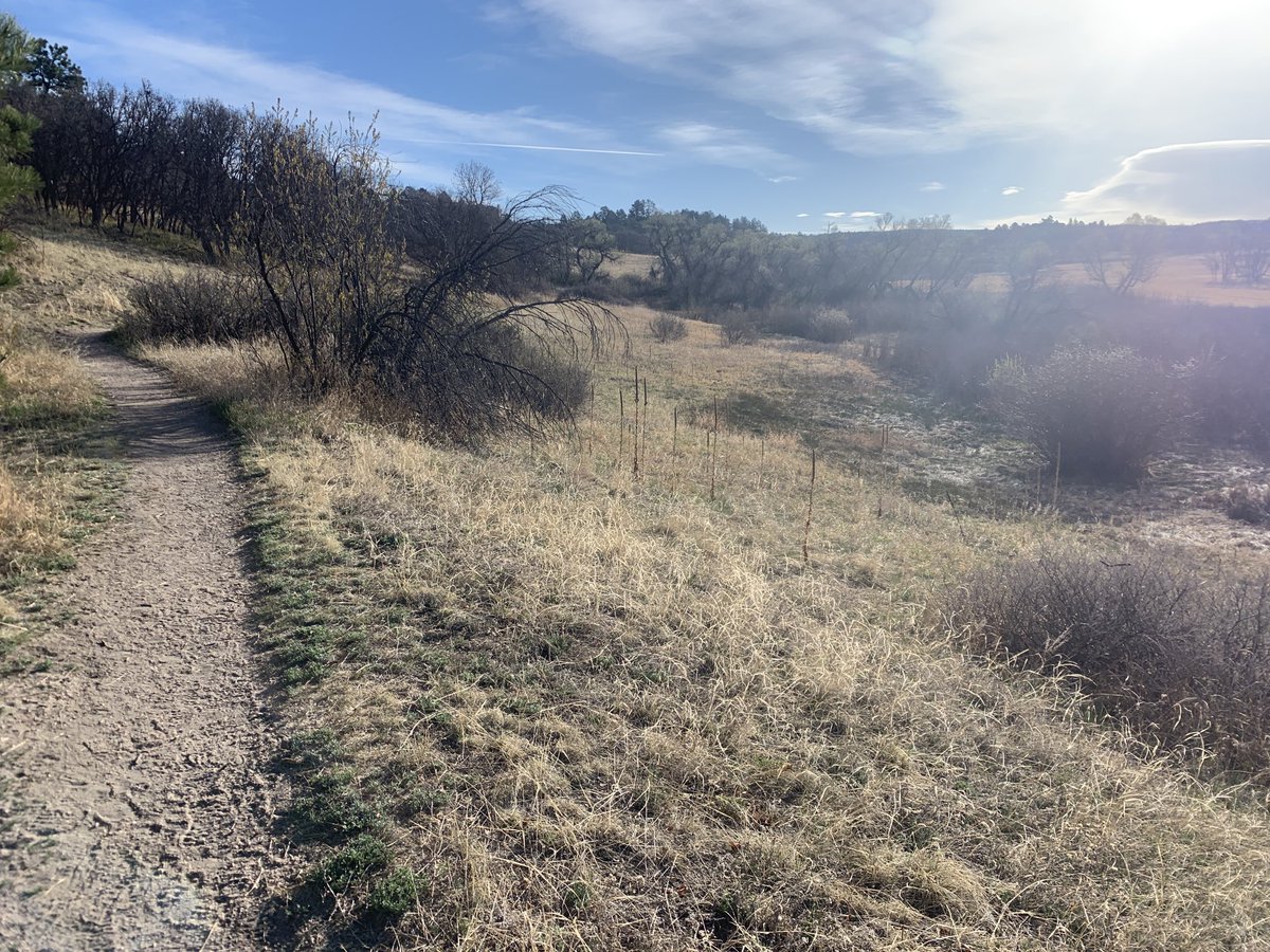 antelope_dan's tweet photo. Do tigers sleep in lily patches?
Do rhinos run from thunder.
I got an ache in my left ear
I felt the truth but I still could hear. #tube #foxrunsunhillsmarathon #solomarathon https://t.co/tEPsHSa3Fl