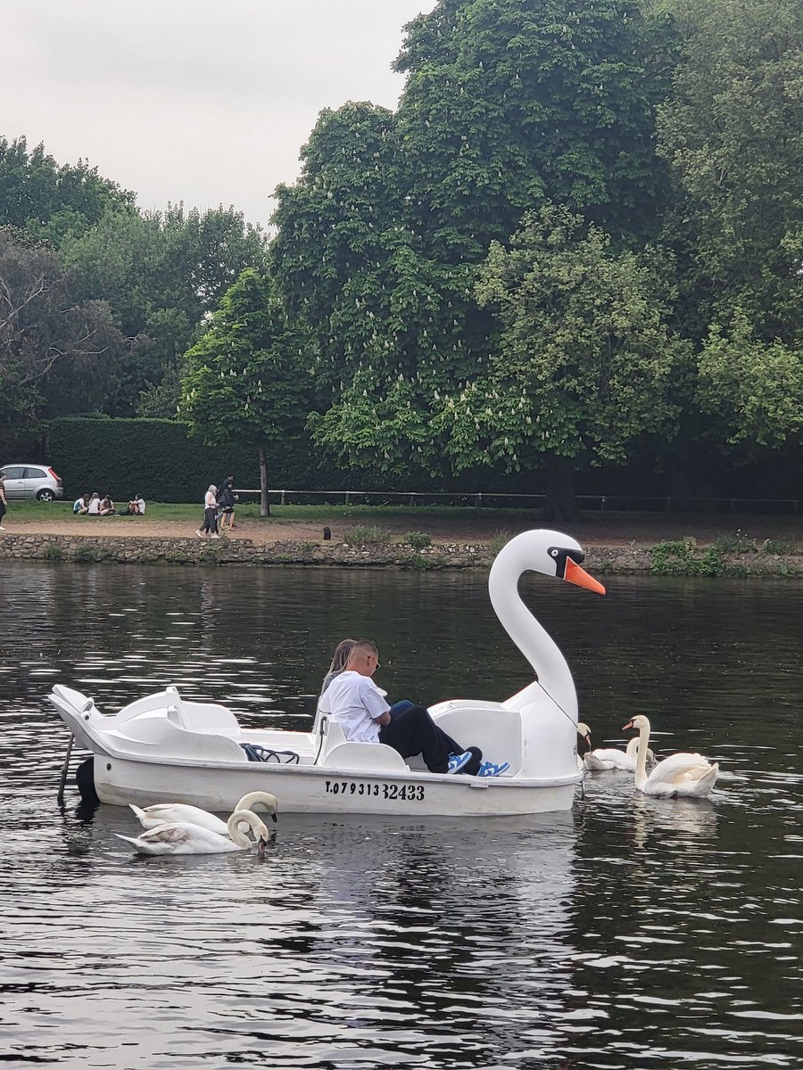 WarwickSalzer's tweet photo. Another  lovely  day on the Thames  ,thanxs for all the support,#thamesboatcharters https://t.co/TdZqu2xqW8