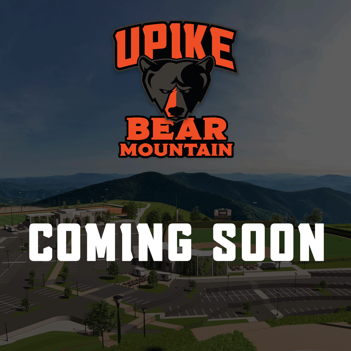 UPIKE 🐻 tweet media