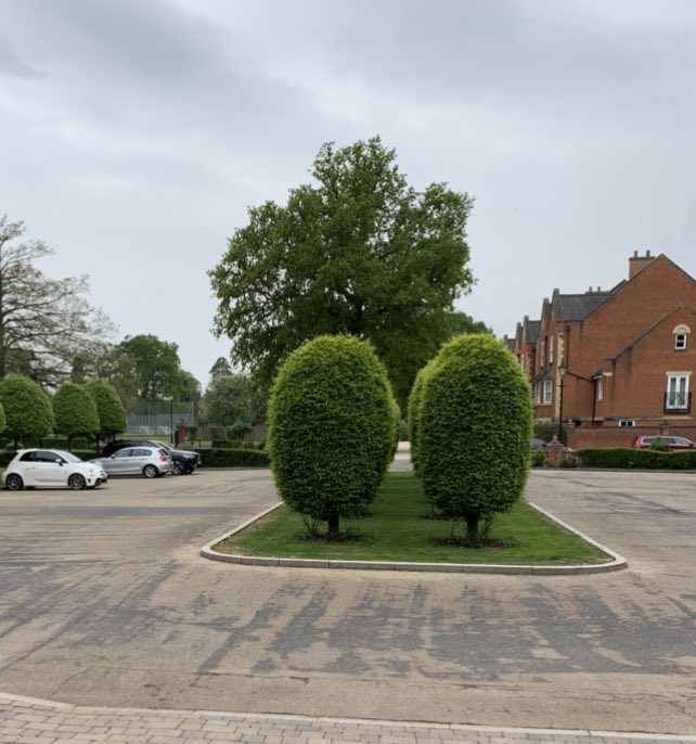 CI5BDC's tweet photo. Ep Ojuka Situation “Then and Now” on location the old Haileybury Junior #School (now apartments ) #longbourn , off Imperial Rd #windsor note trees on grass area. #theprofessionals (I took pics last weekend) https://t.co/vsan4QKsoM
