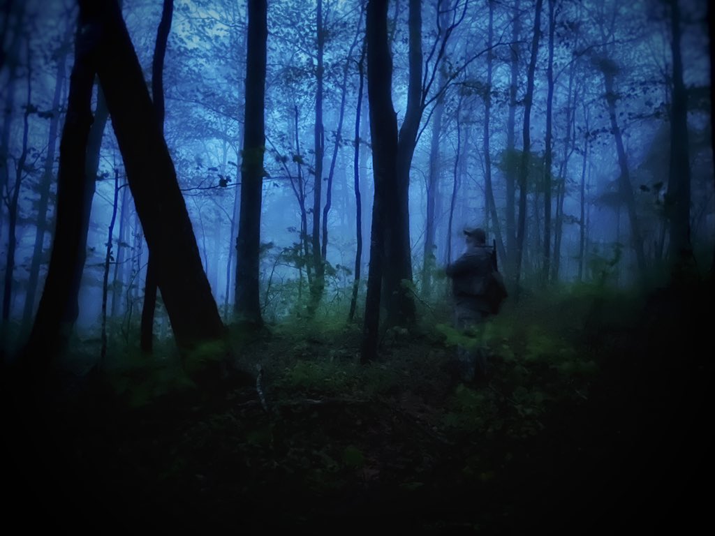 𝑫𝒂𝒗𝒊𝒅 𝑱𝒐𝒚 tweet media