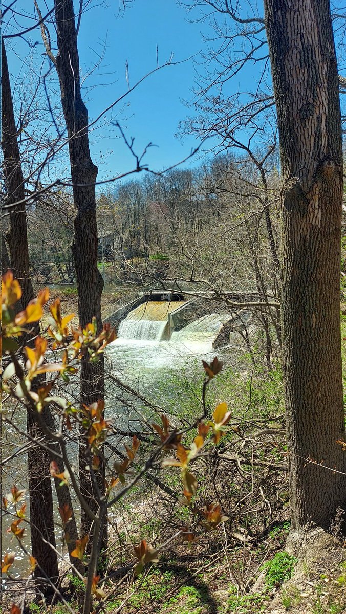 Francesca__ah_'s tweet photo. Saturday walk 

#MillDam #OwenSound https://t.co/krvF5s7U1F