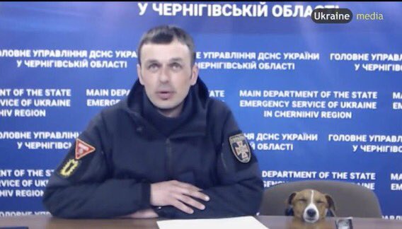 The famous Ukrainian demining dog “Patron” taking a nap during a joint press conference.