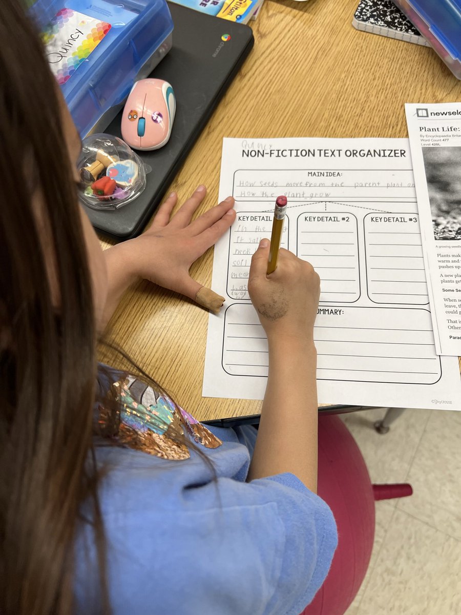 MrsStrell's tweet photo. Students in second grade are reading, writing and experimenting with seeds to further understand plant life! https://t.co/P3iU0MDloE