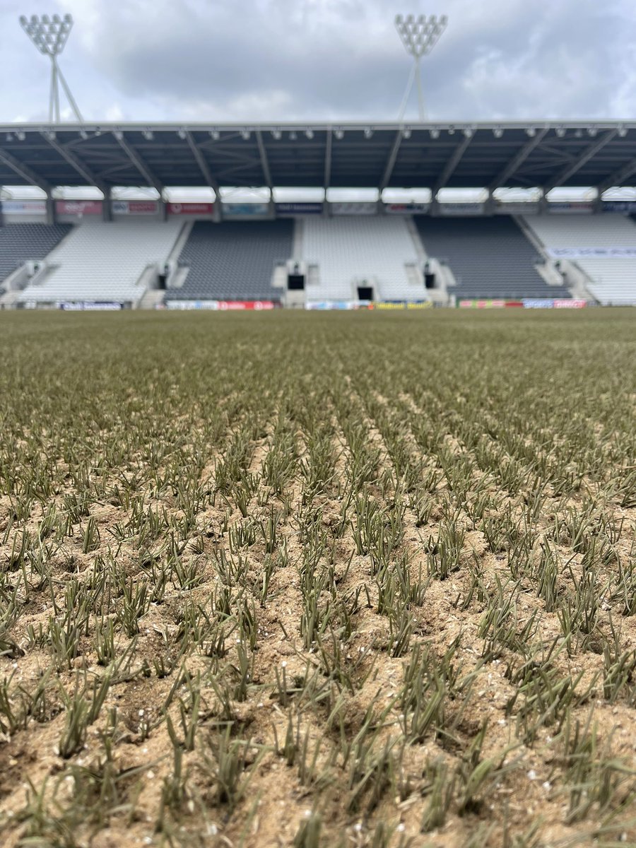 Turftech tweet media