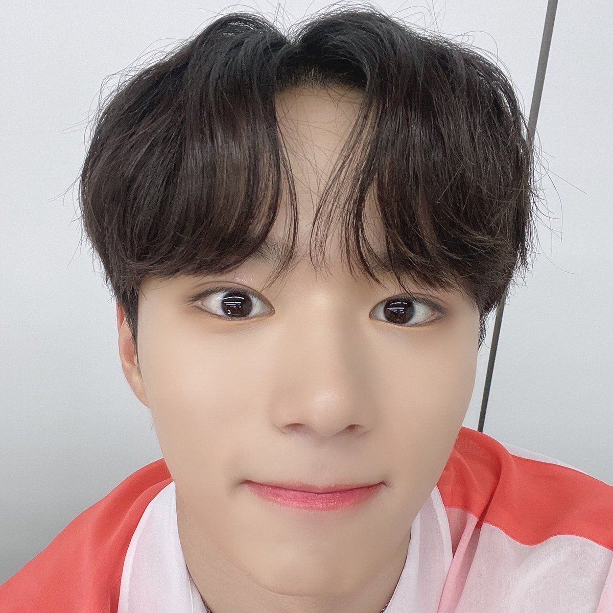 junseo files tweet media