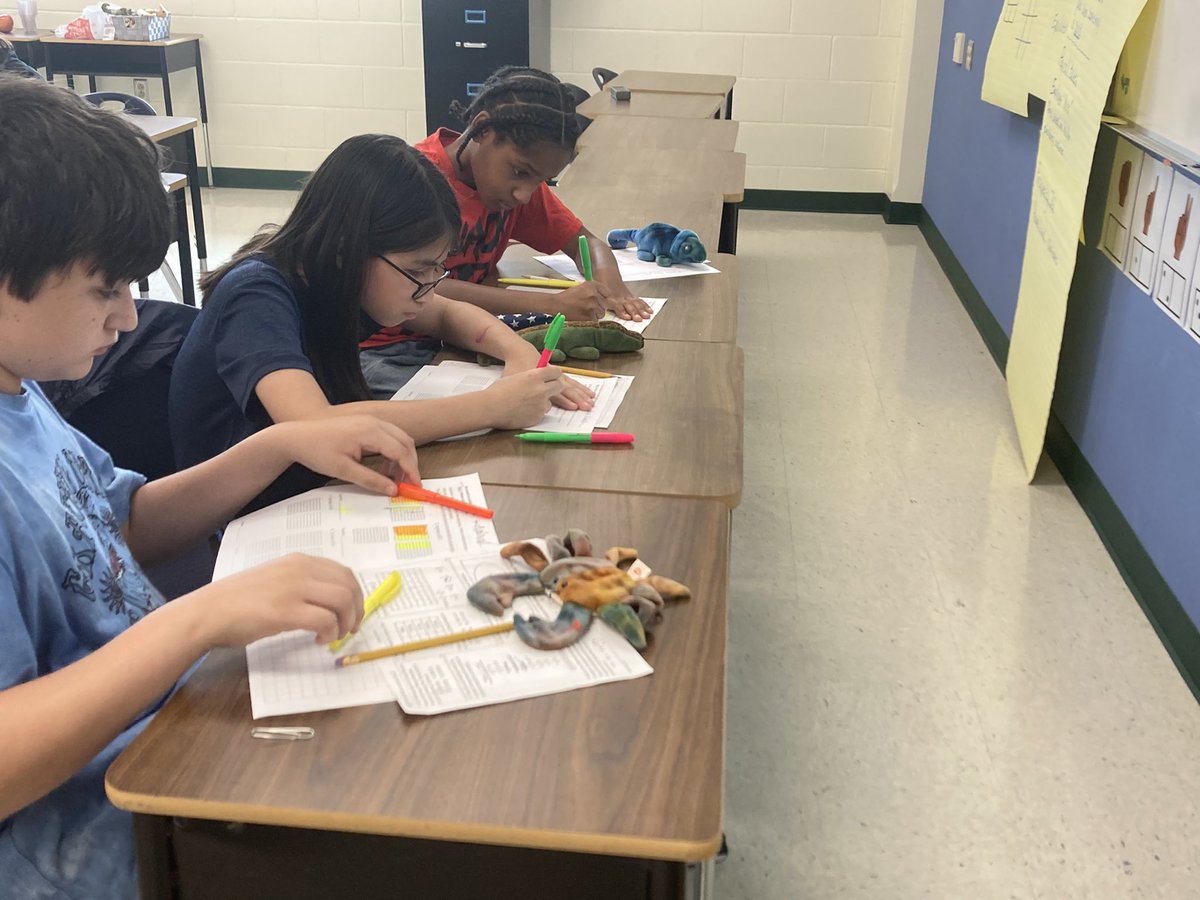 BrendaWinters18's tweet photo. @NISDWWT 5th G students enjoy a peaceful environment studying math with their Beanie  Babies. @BrenSanCarr @Kells2111 https://t.co/kdMHlll99U