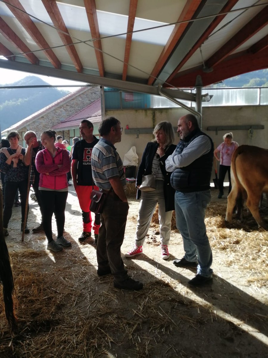GobAsturias's tweet photo. 🐂La directora general de Ganadería, Rocío Huerta, ha asistido al 33 Certamen Nacional de Raza Asturiana de la Montaña. Posteriormente, ha participado en el Homenaje al Ganadero del Año, que ha recibido, a título póstumo, Valeriano Remis, quien estuvo 20 años al frente de #Aseamo https://t.co/9yzzwW5JyJ