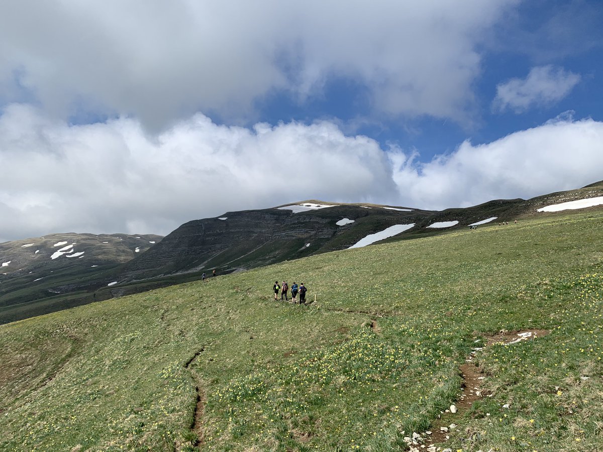 Polypolyrobrob tweet media