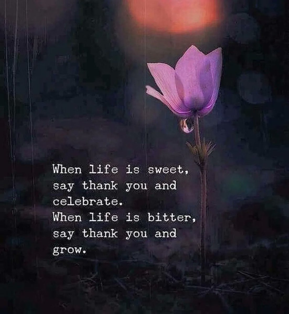 iamfearlesssoul's tweet photo. Thank you. https://t.co/izBaRnCzrY