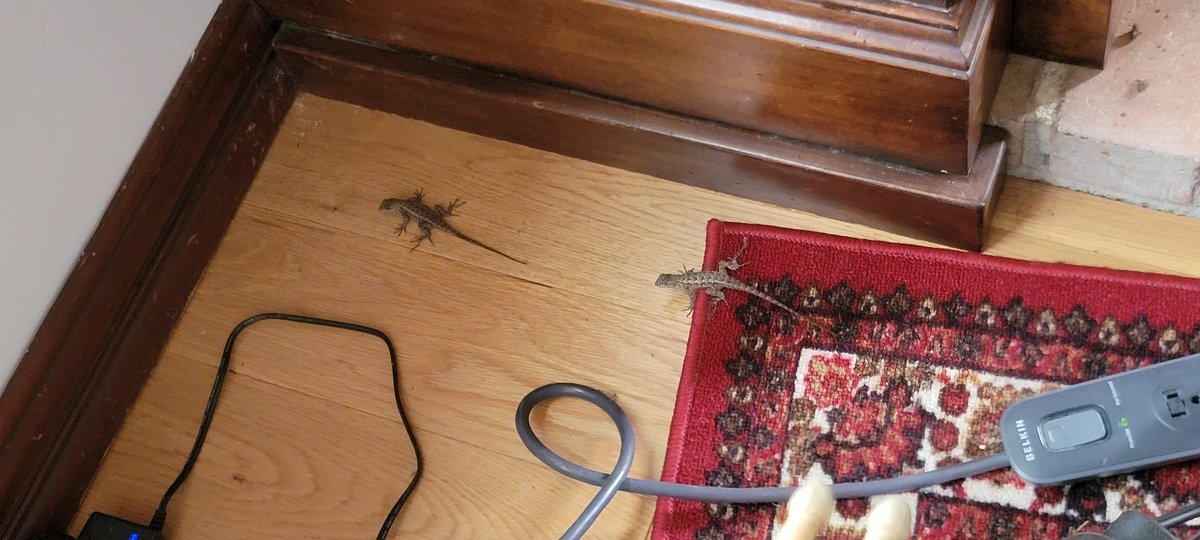 James A. Janisse tweet media