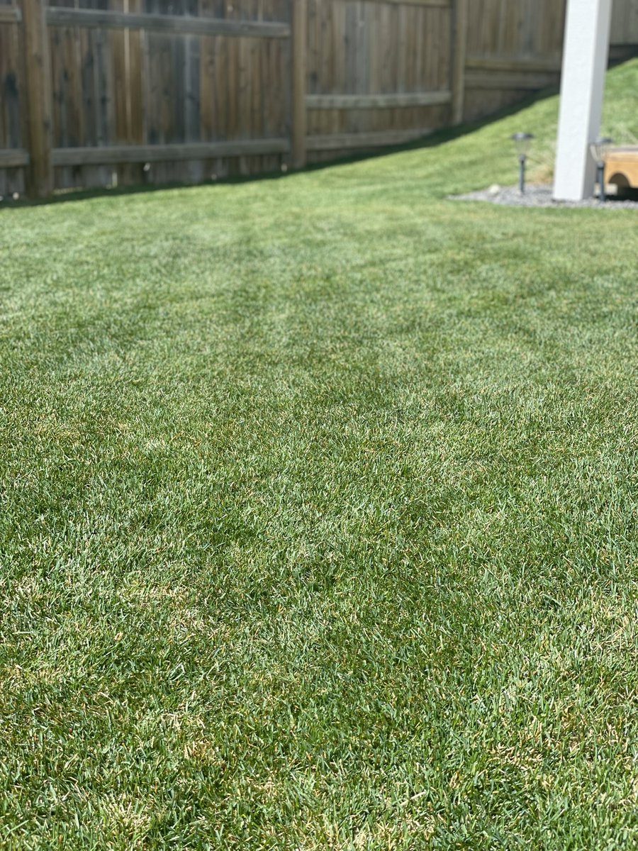 deanmanz's tweet photo. May 6th, 2022. #LawnGoals. Thanks @tnieth for the 44-0-0 application. ๐ฏ
#Earthsmart
#CallTerry https://t.co/Yu37q9RHOt