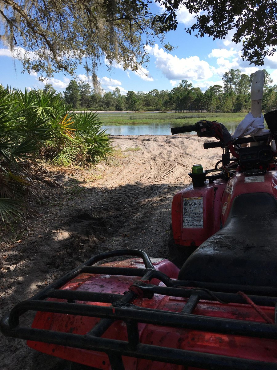 Joe BEE mining tweet media