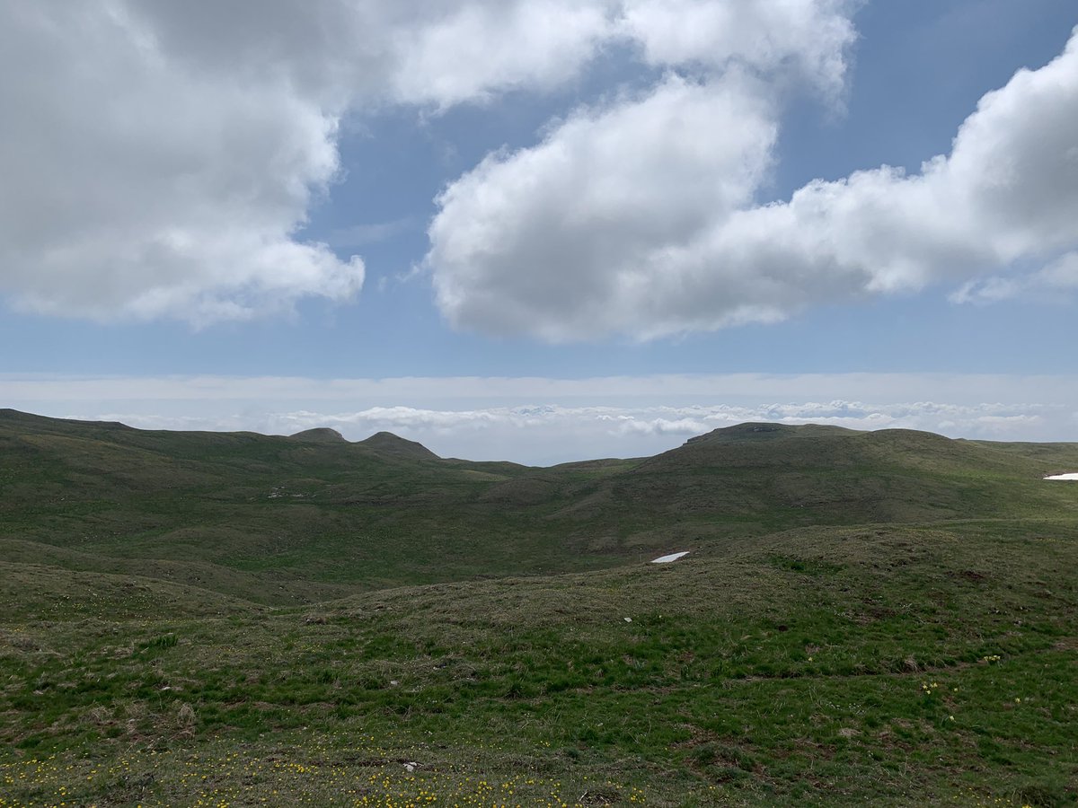 Polypolyrobrob tweet media