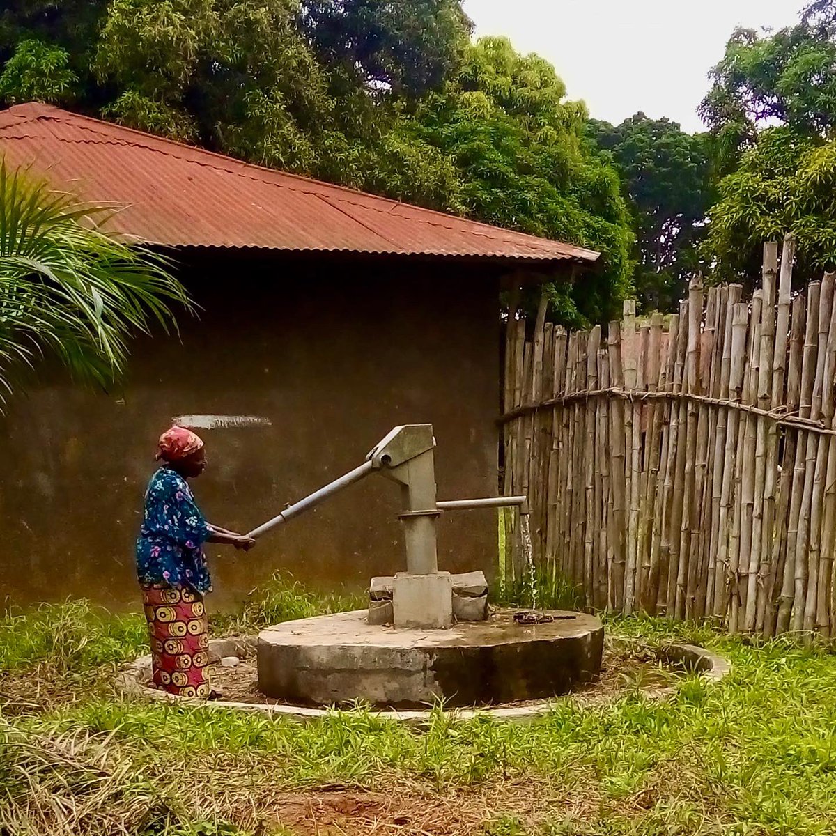 Habitat Technologies Solutions for the Congo tweet media