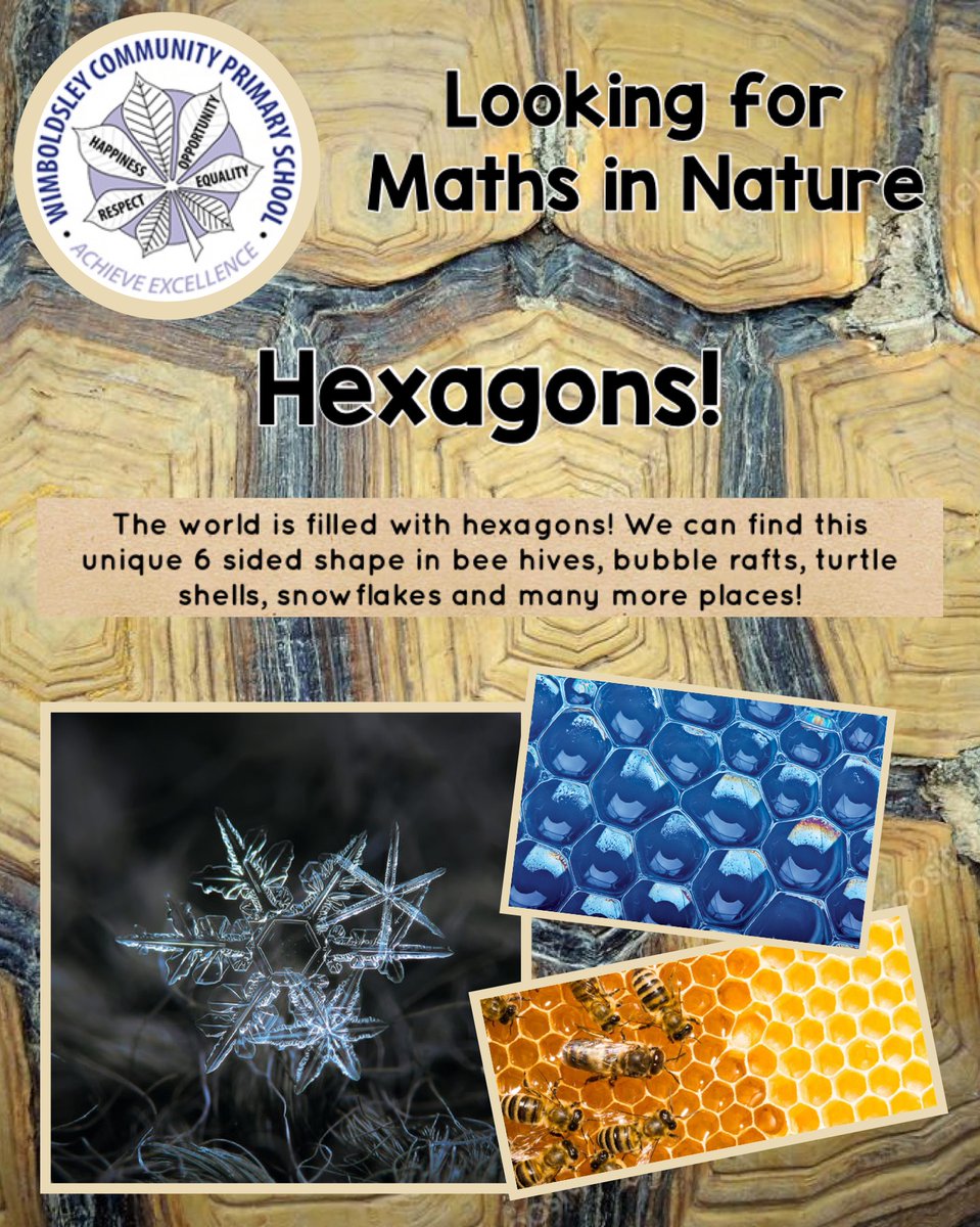 WimboldsleyCPS's tweet photo. This week we are looking at where we find maths in the natural world. We would love to see any examples you find when out and about! #MathsInNature #MathsIsCool #CreativeCurriculum https://t.co/6lmrnb4aIr