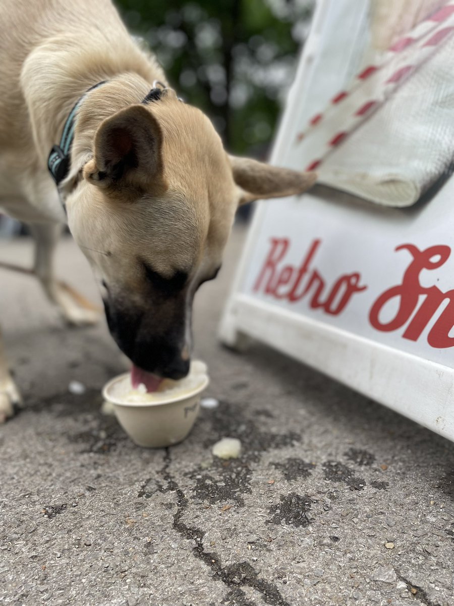 Dapper enjoying <a href="/RetroSno/">Retro Sno</a> at Sevier Park Festival