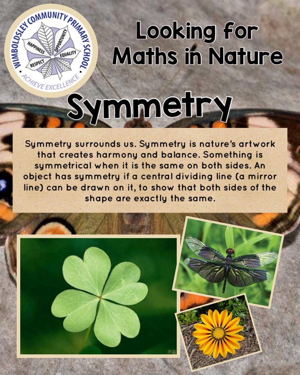 WimboldsleyCPS's tweet photo. There are lots of examples of symmetry in nature, can you spot any? #MathsInNature #MathsIsCool #CreativeCurriculum https://t.co/CVPb1WgEAt