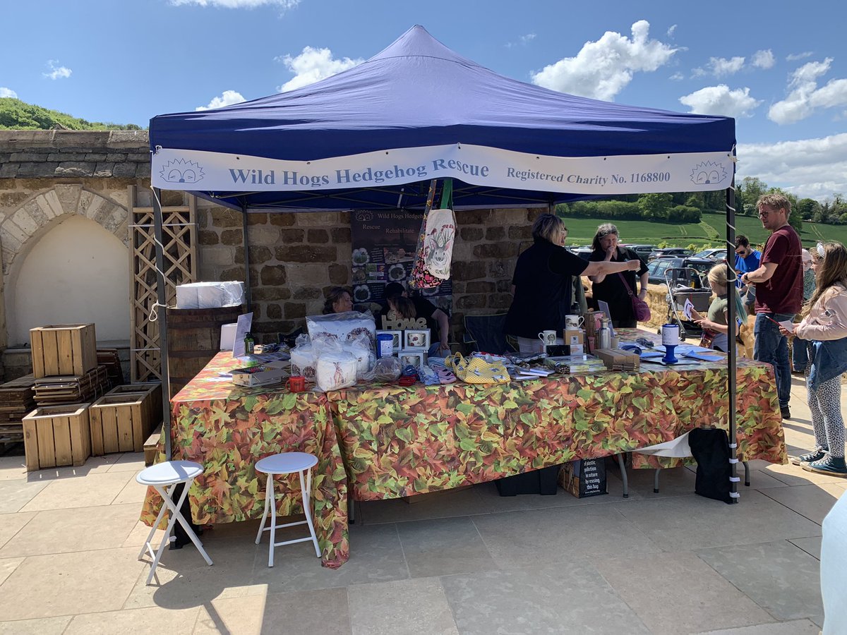 Wild Hogs Hedgehogs Rescue tweet media