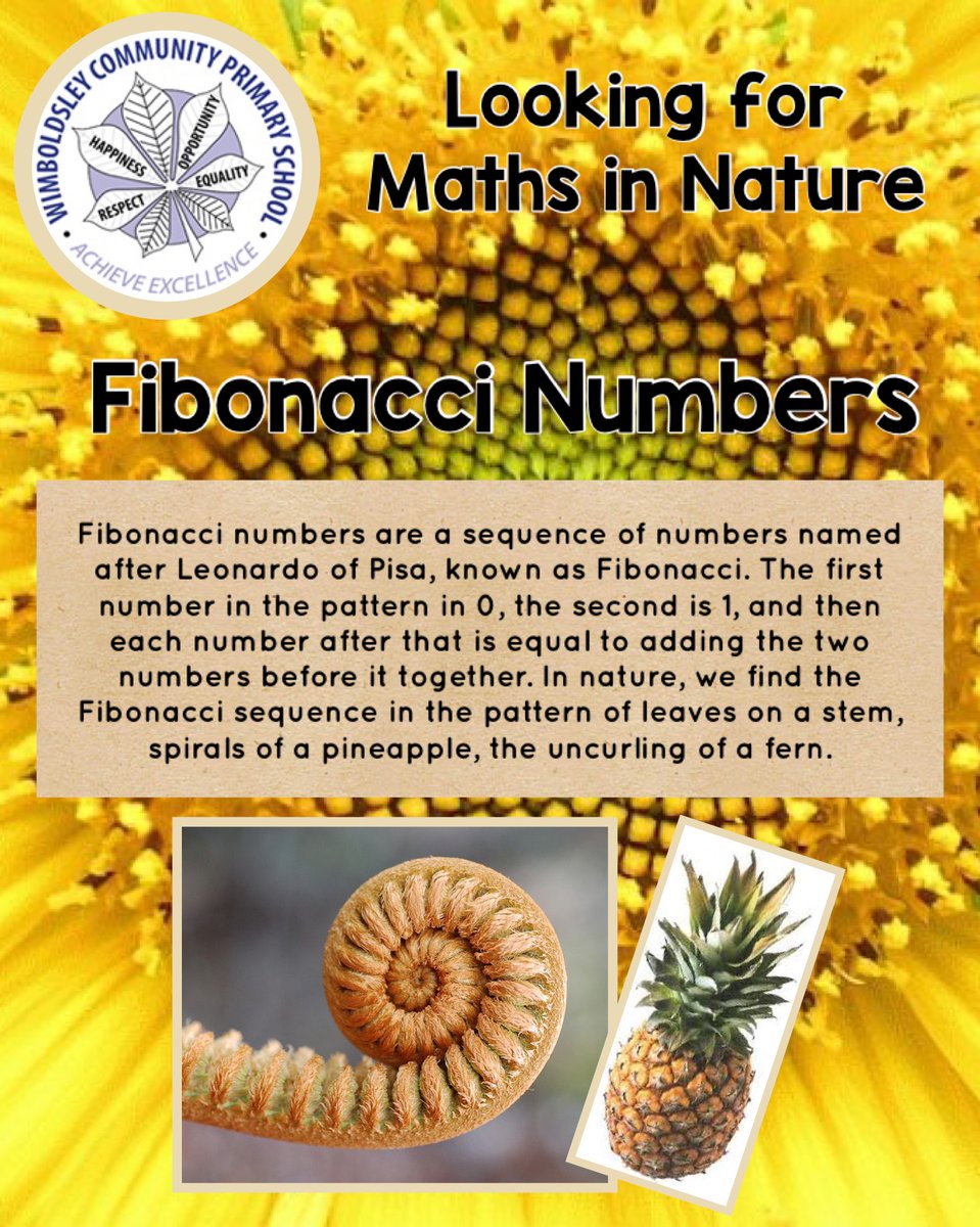 WimboldsleyCPS's tweet photo. Brainboxes on... today's maths in nature is a fascinating one! #MathsInNature #MathsIsCool #CreativeCurriculum https://t.co/4pVS07gsZl